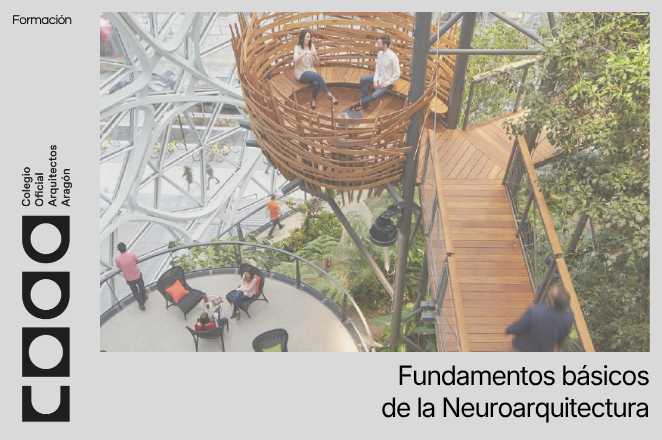 ImagenNoticia
