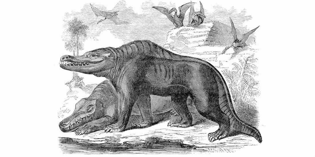 Imagen del evento William Buckland y el descubrimiento de Megalosaurus: el inicio de la dinomanía