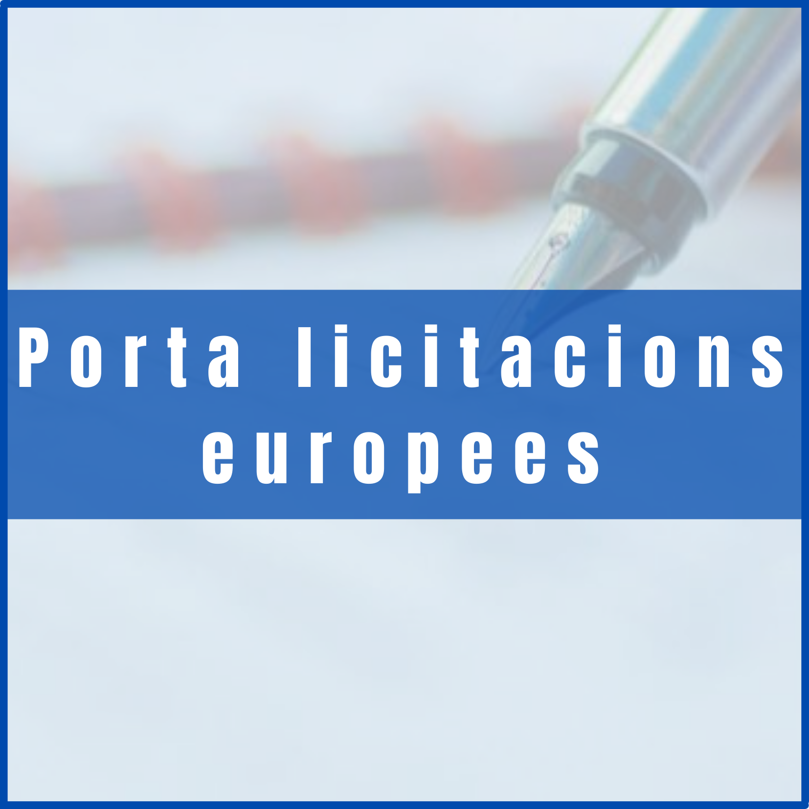 portal licitacions europees