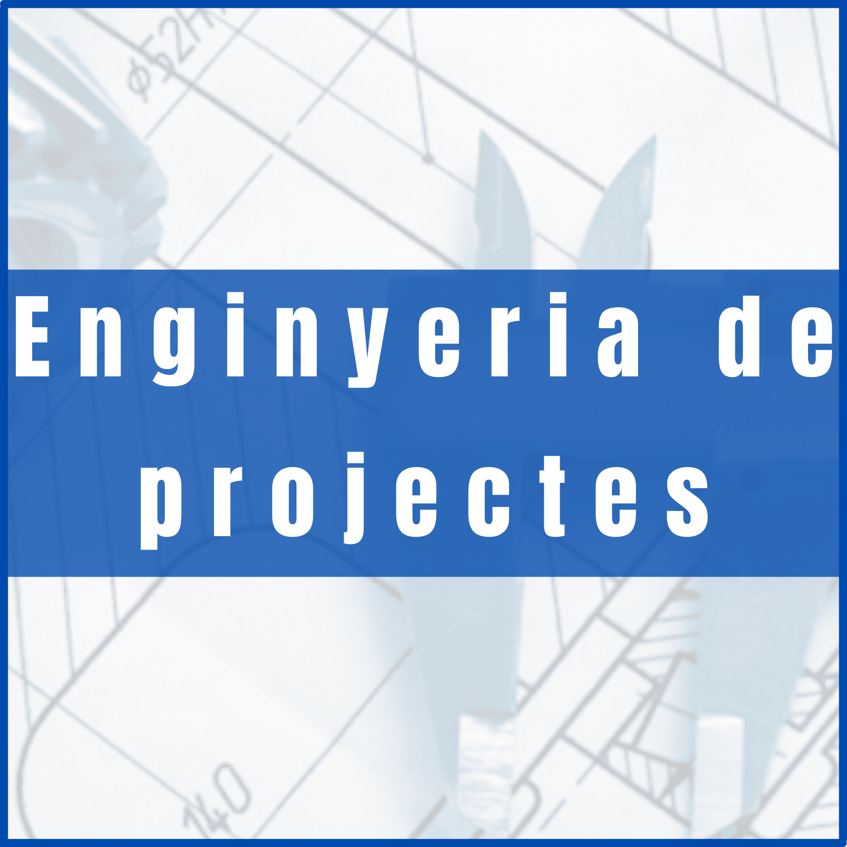 enginyeria de projectes