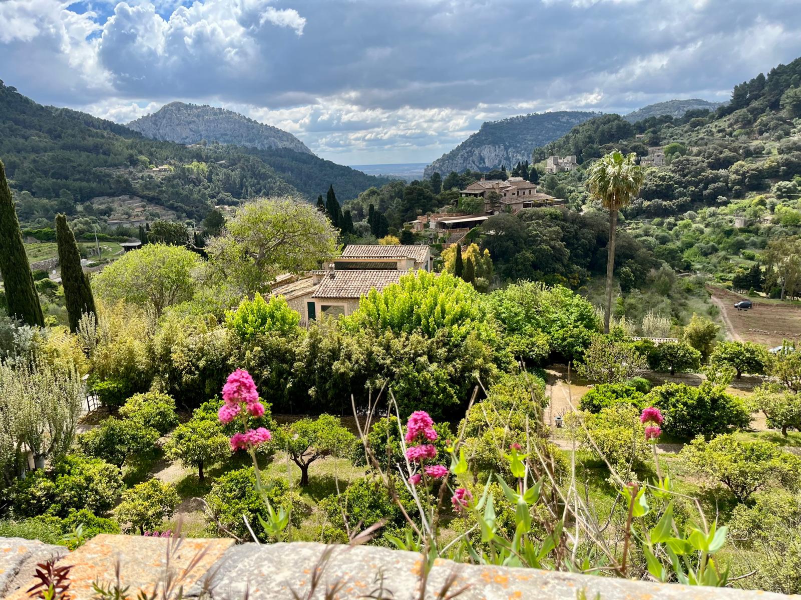 WhatsApp Image 2025-04-30 at 07.59.20 (1).jpeg