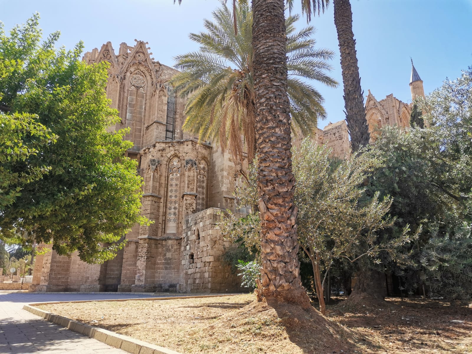 WhatsApp Image 2025-10-02 at 10.11.28.jpeg