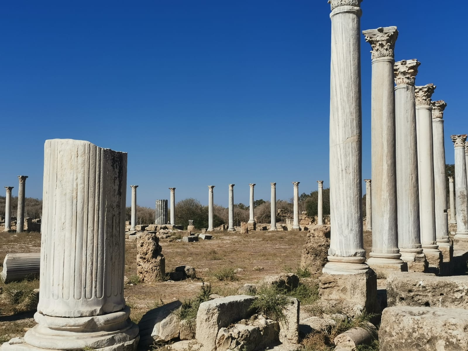 WhatsApp Image 2025-10-02 at 10.11.42.jpeg