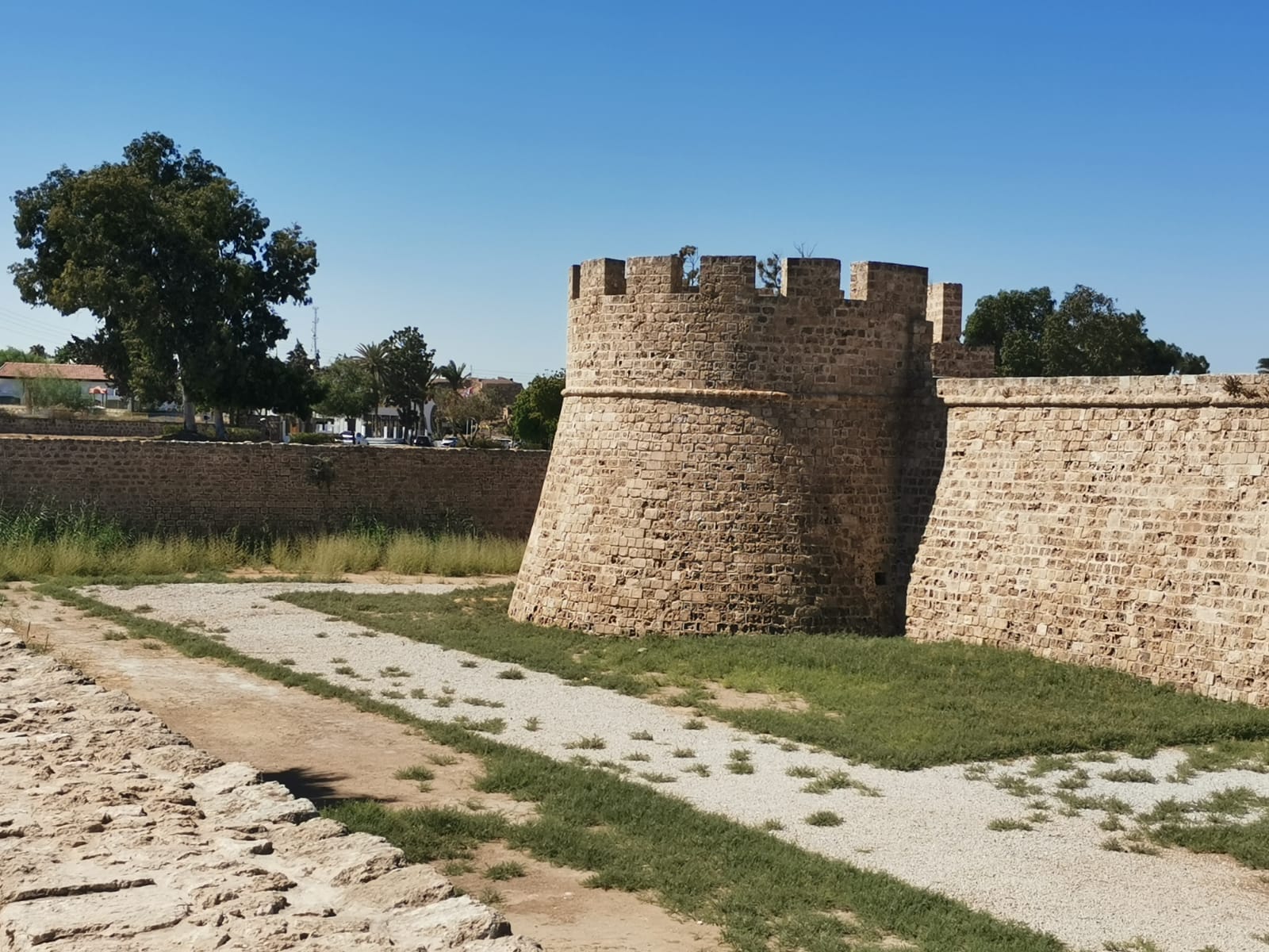 WhatsApp Image 2025-10-02 at 10.11.54.jpeg